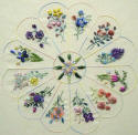 Brazilian Embroidery Pattern  Dresden Plate